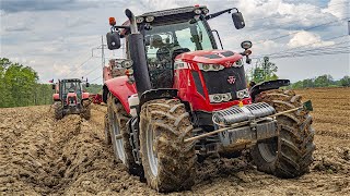 Potato Planting 2023 🥔 | ❤️ 3x Massey Ferguson, 1x Challenger 💛 | 🇨🇿 Frýdlantská zemědělská a.s.