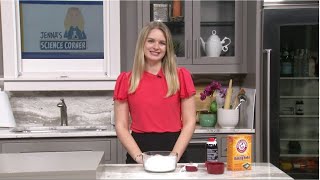 Fake Snow Experiment | Jenna's Science Corner