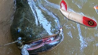 RIVER MONSTERS on WHOPPER PLOPPER !!!