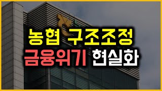 농협 구조조정 - 금융위기 현실화