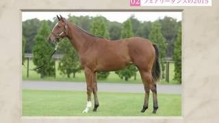 【2016年度[1歳馬]1次募集】2 フェアリーダンスの2015