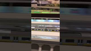 鉄道模型 Nゲージ E231系 総武線 通過シーンに実音入れてみた🎵✨🚃✨