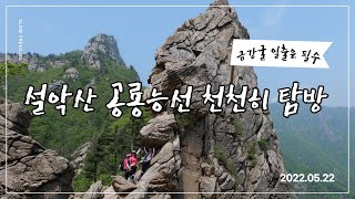 설악산 공룡능선 에델바이스 천국 #금강굴#솜다리