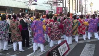 まつりえれこっちゃみやざき2010～総踊り～