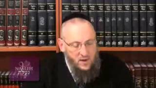 Moshe Rabbenu: Prophesy With No Barriers