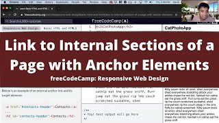 Link to Internal Sections of a Page with Anchor Elements (Basic HTML and HTML5) freeCodeCamp