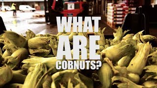 What Are Cobnuts?