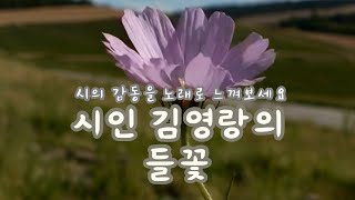 [뮤직비디오] 시인 김영랑의 들꽂