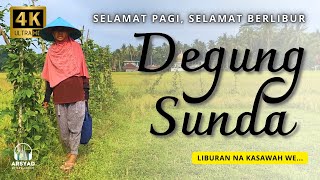 SELAMAT PAGI, SELAMAT BERLIBUR, BERLIBUR KASAWAH - DEGUNG SUNDA ENAK PISAN