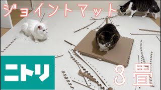 猫用ニトリのジョイントマットを敷きました