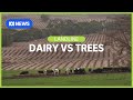 Dairy Vs Trees: should prime farming land be sold for tree plantations? | Landline | ABC News