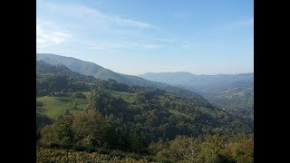 Mountain Golija, Serbia.  Planina Golija, Srbija. Video 1