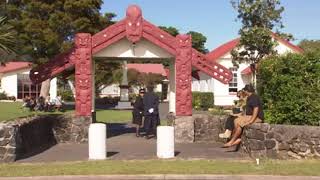 Te Tii Marae: kaupapa continues on