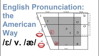 Front low vowels,  /ɛ/, /æ/ (“에” vs \