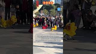 Robot dogs perform lion dance in south China