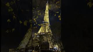 The Eiffel Tower: An Icon Of Paris