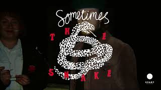 The Snake: Sometimes (Official Visualiser)