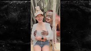 Thailand Zoo Orangutan Grabs Woman's Breasts, Lands a Smooch!!!