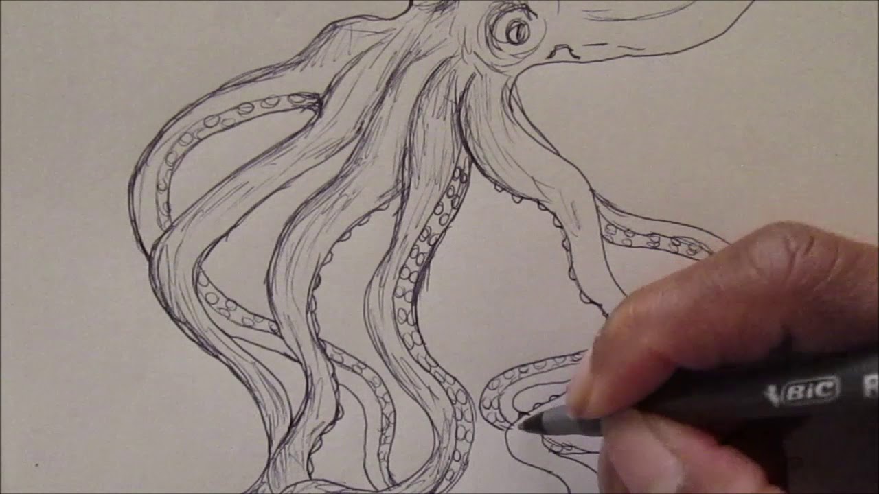 How To Draw An Octopus/Hexapus(6 Legs) - YouTube