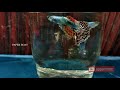 guppy breeding methods line breeding reverse ഗപ്പി ബ്രീഡിങ്‌ രീതികൾ പരിചയപ്പെടാം