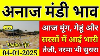 अनाज मंडी भाव॥ आज 04 जनवरी 2025 भाव॥ सरसों ग्वार मूंग नरमा कपास गेहूं धान भाव॥ Mandi Bhav Today