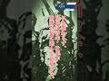 【 shorts】大田実 ”沖縄県民斯ク戦ヘリ”沖縄地上戦での仁愛に満ちた一文 大東亜戦争 日本軍 歴史教育 日本に栄光あれはtiktokには投稿していません。（tiktokは無断転載）