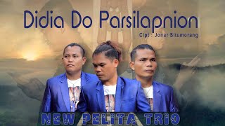 Didia Do Parsilapnion  Cipta Jonar Situmorang  New Pelita Trio  Official Video 