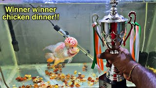 Collecting Agni's Trophy from Flowerhorn competition | அக்னியின் வெற்றி