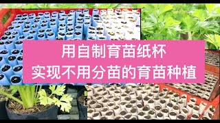 43) [ENG SUB] The perfect way to transplant seedlings without separating and damaging their roots