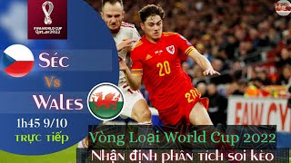 nhận định soi kèo Séc vs Wales | trực tiếp bóng đá vòng loại world cup 2022 | 1h450 ngày 9/10/2021