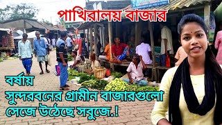 সুন্দরবনের জনপ্রিয় পাখিরালয় বাজার ভ্রমণ.!pakhiralay! Sundarban village life.! subscribe Sahochor.!