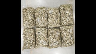 [Ready Stock] 1KG Ikan Bilis Kasar Gred AAA (5-6cm) | Anchovies Premium Grade Size (5-6cm) 1000g 江鱼仔