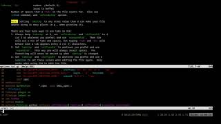Setting Up Vim for Python Development