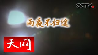 《天网》 雨夜不归途 | CCTV社会与法