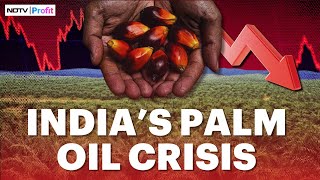 India's Palm Oil Crisis: As Imports Exceed Production, Can Other Oils Replace It?