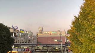 津田沼駅のやばい鳥