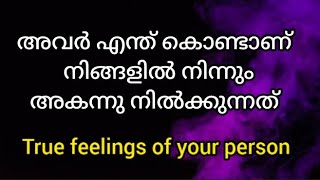 Why are they staying away from you? ✡️അവർ എന്ത് കൊണ്ടാണ് നിങ്ങളിൽ നിന്നും അകന്നു നിൽക്കുന്നത് ❤️