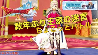 【ドラクエ10】ライブ配信25th_王家の迷宮初心者♪アドバイスお願いします～《ネタバレ注意》