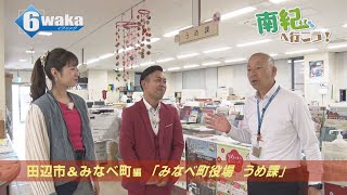 南紀へ行こう！　田辺市＆みなべ町編 　「みなべ町役場　うめ課」