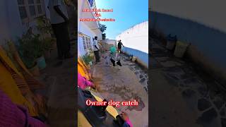 Uncle Owner Dog Catch 💕 #dog #streetdogplanet44 #ytshorts #animals #pets