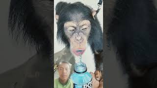 Monkey love powerade ! π΅π§