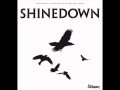 Shinedown - Fly from the Inside (lyrics)