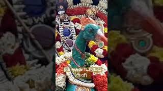 திருக்காட்டுப்பள்ளி  பெரிய  விழா