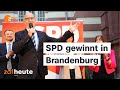 Woidkes SPD gewinnt nach Kopf-an-Kopf-Rennen mit der AfD | Landtagswahl in Brandenburg