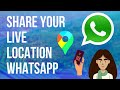 How to share LIVE location on WhatsApp | How to Share Your Location on WhatsApp on Android