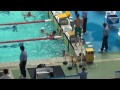 2015japanopen 男子200fr 予選 西川