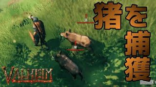 【Valheim】実況！～イノシシ繁殖に挑戦！～伝説の２人旅！【ヴァルヘイム】#16