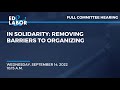 In Solidarity: Removing Barriers to Organizing