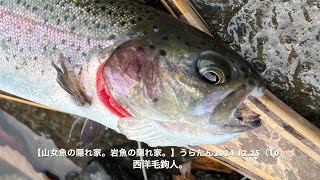 【山女魚の隠れ家。岩魚の隠れ家。】うらたん2024 12 25（10）