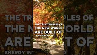 This One Shift Changes Everything Books Spirituality